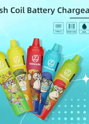 UZY Bang Digital 15K Vape mit 12 Sorten und Type-C