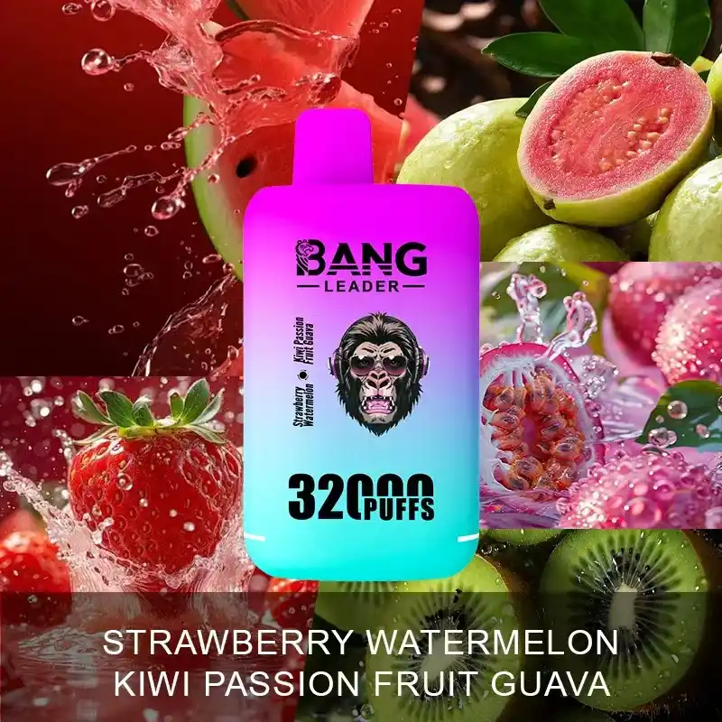 Bang Leader 32000 Züge XXL Vape mit Dual-Pod & Geschmackswechsel – Bild 17