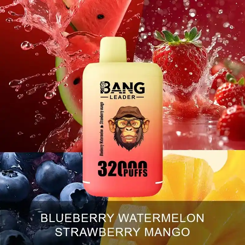 Bang Leader 32000 Züge XXL Vape mit Dual-Pod & Geschmackswechsel – Bild 12