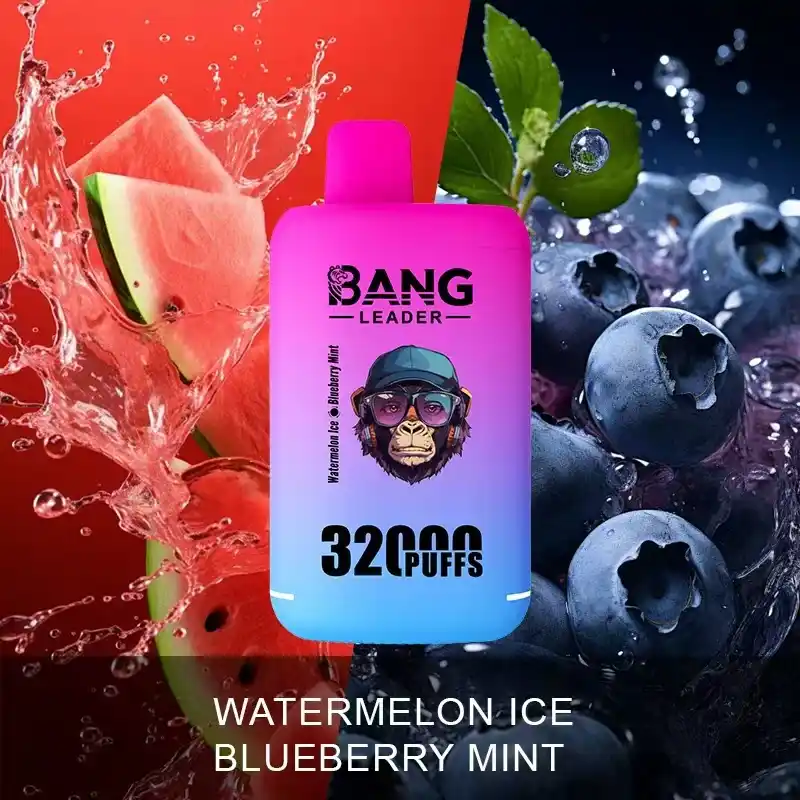 Bang Leader 32000 Züge XXL Vape mit Dual-Pod & Geschmackswechsel – Bild 15