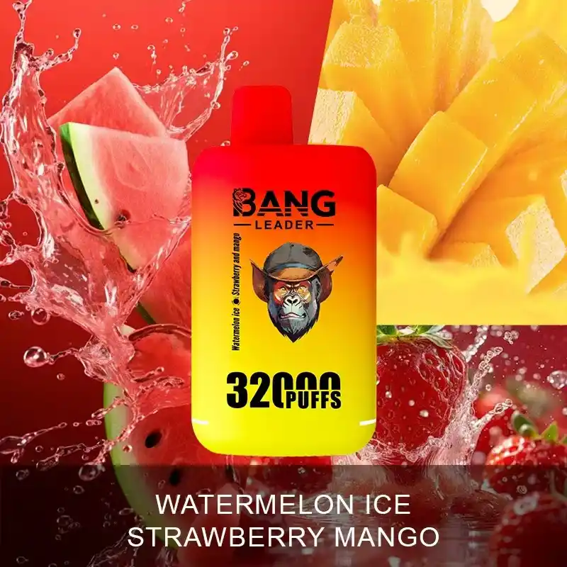Bang Leader 32000 Züge XXL Vape mit Dual-Pod & Geschmackswechsel – Bild 13