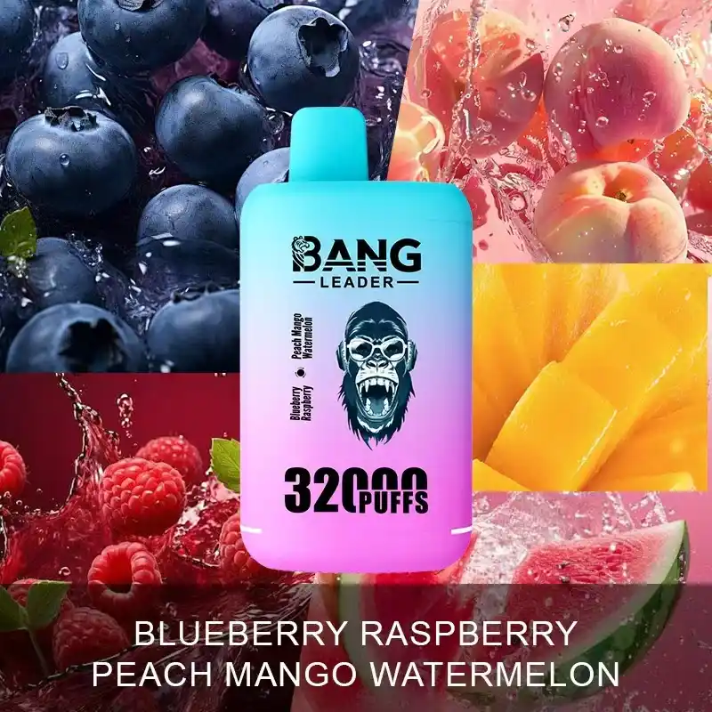 Bang Leader 32000 Züge XXL Vape mit Dual-Pod & Geschmackswechsel – Bild 16