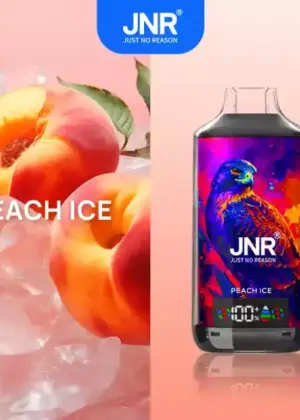 JNR X 18000 Züge Vape mit Digitaldisplay, Airflow und 45 Sorten