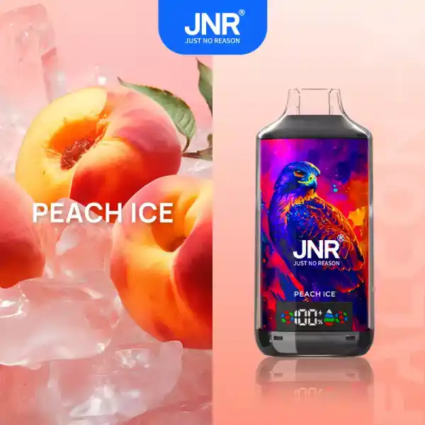 JNR X 18000 Züge Vape mit Digitaldisplay, Airflow und 45 Sorten