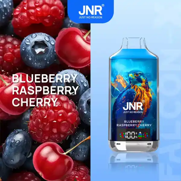 JNR X 18000 Züge Vape mit Digitaldisplay, Airflow und 45 Sorten – Bild 24