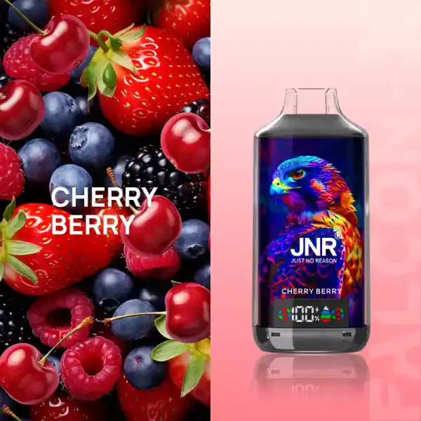 JNR X 18000 Züge Vape mit Digitaldisplay, Airflow und 45 Sorten – Bild 23