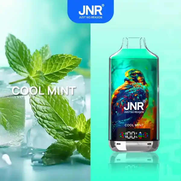 JNR X 18000 Züge Vape mit Digitaldisplay, Airflow und 45 Sorten – Bild 10