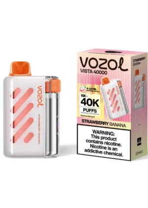 VOZOL Vista Big Puff mit 40000 Zügen und 20 Sorten zur Auswahl