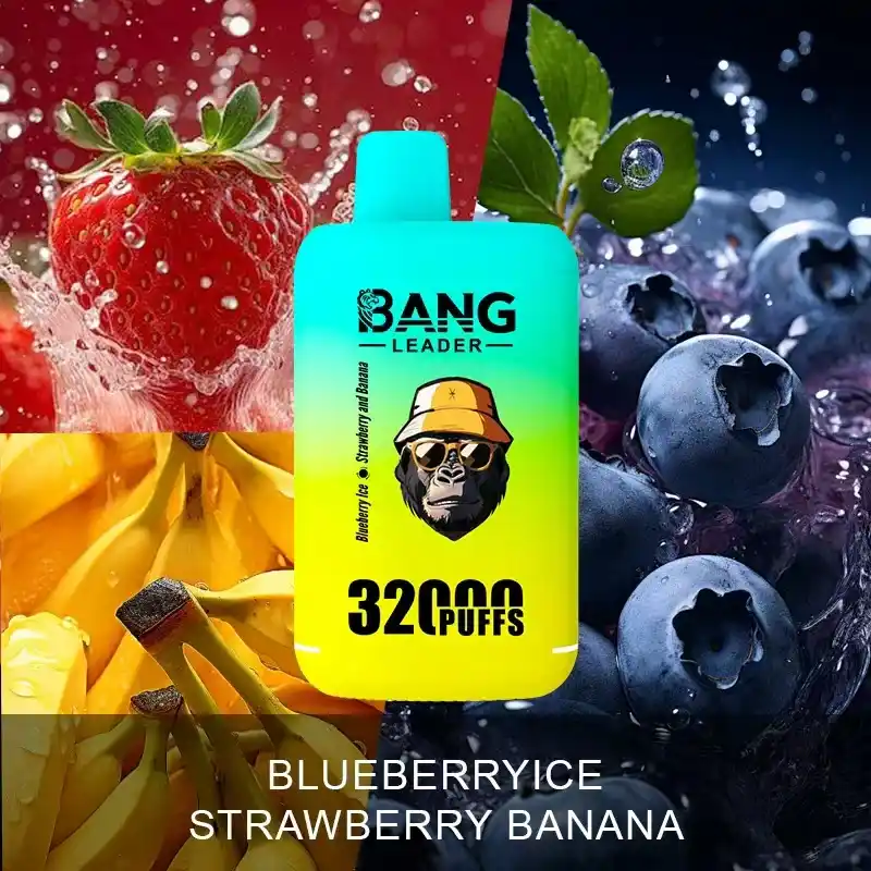 Bang Leader 32000 Züge XXL Vape mit Dual-Pod & Geschmackswechsel – Bild 11