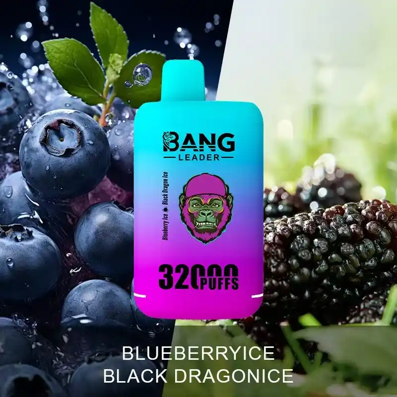Bang Leader 32000 Züge XXL Vape mit Dual-Pod & Geschmackswechsel – Bild 10