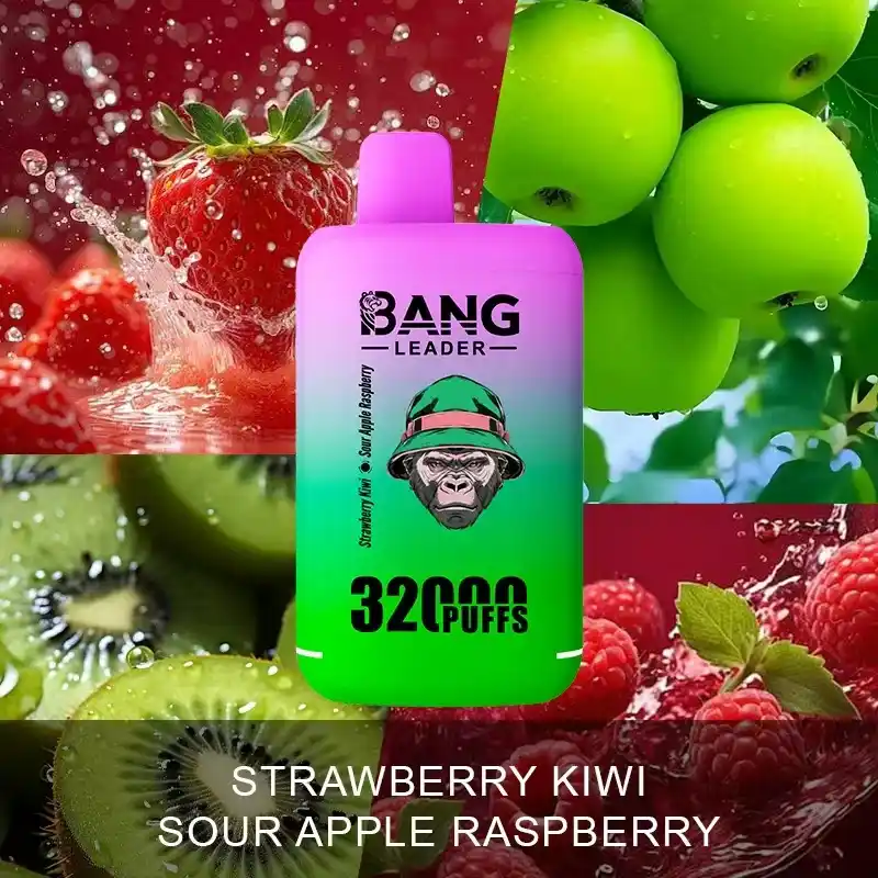 Bang Leader 32000 Züge XXL Vape mit Dual-Pod & Geschmackswechsel – Bild 9