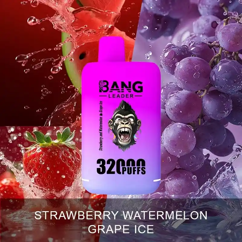 Bang Leader 32000 Züge XXL Vape mit Dual-Pod & Geschmackswechsel – Bild 8