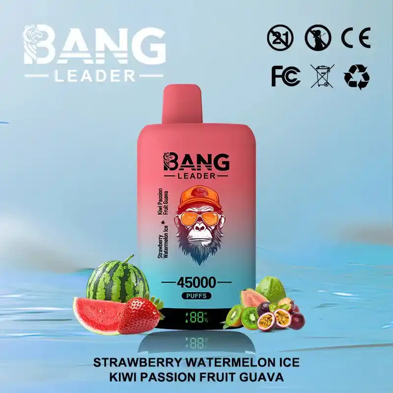 Bang Leader 45K 45000 Züge Einweg Vape mit Dual Mesh & Display – Bild 8