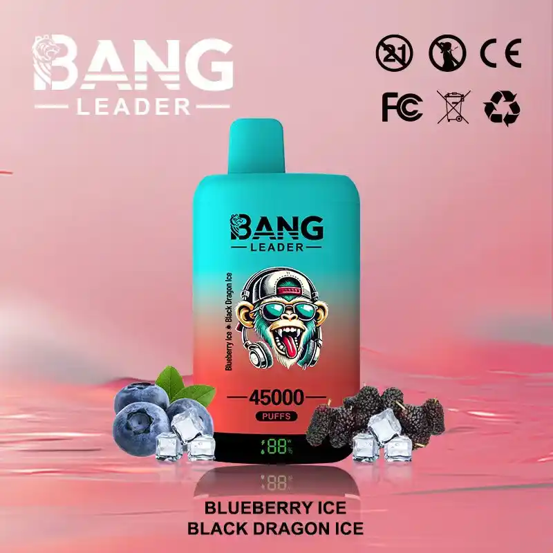 Bang Leader 45K 45000 Züge Einweg Vape mit Dual Mesh & Display – Bild 7