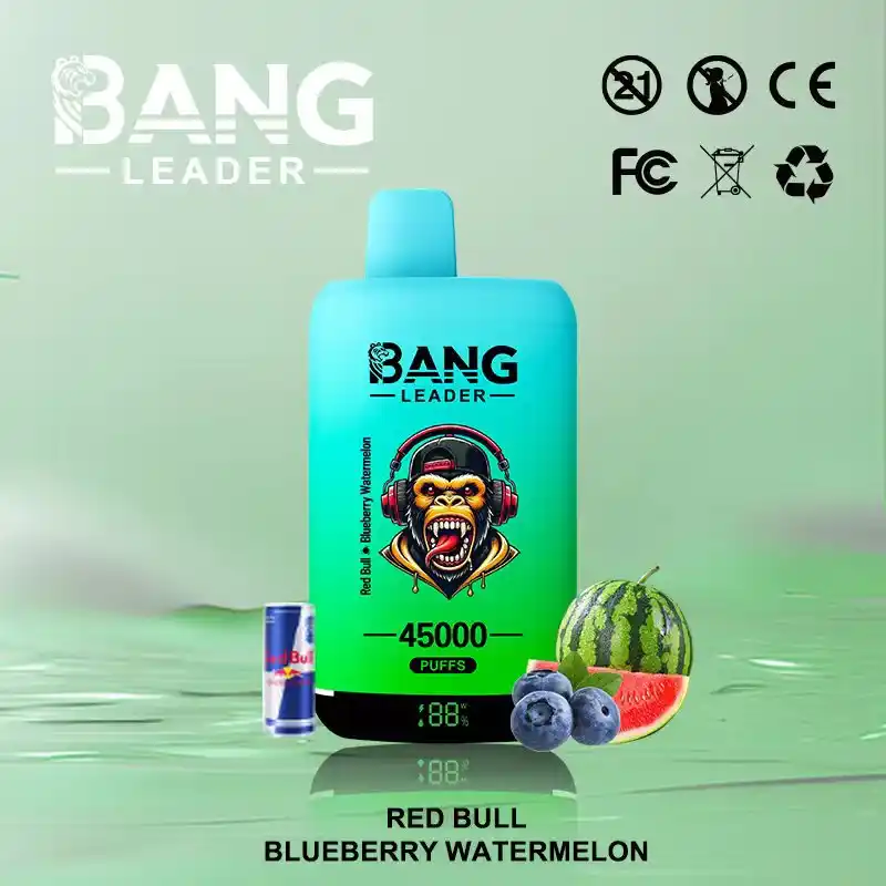 Bang Leader 45K 45000 Züge Einweg Vape mit Dual Mesh & Display – Bild 15