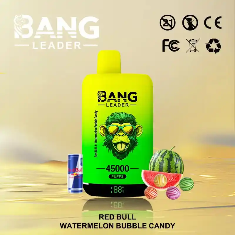Bang Leader 45K 45000 Züge Einweg Vape mit Dual Mesh & Display – Bild 6