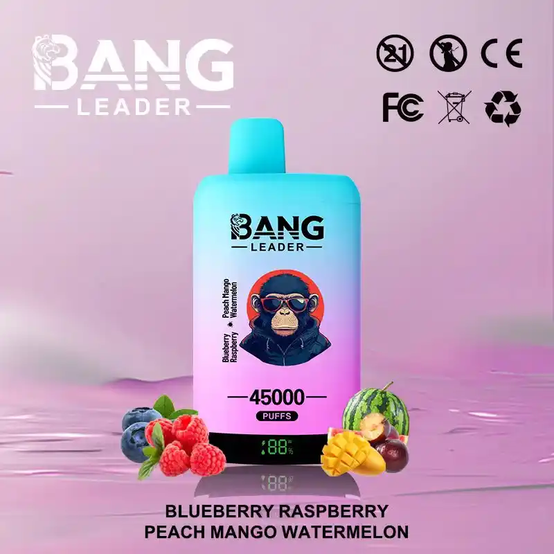 Bang Leader 45K 45000 Züge Einweg Vape mit Dual Mesh & Display – Bild 16