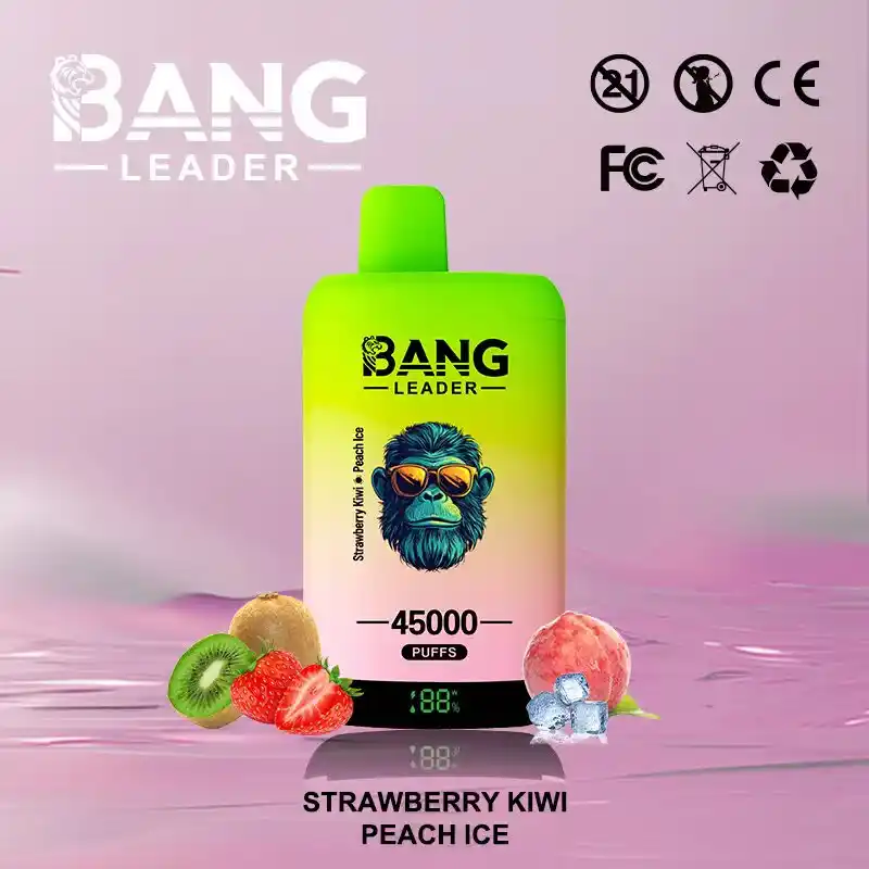 Bang Leader 45K 45000 Züge Einweg Vape mit Dual Mesh & Display – Bild 5