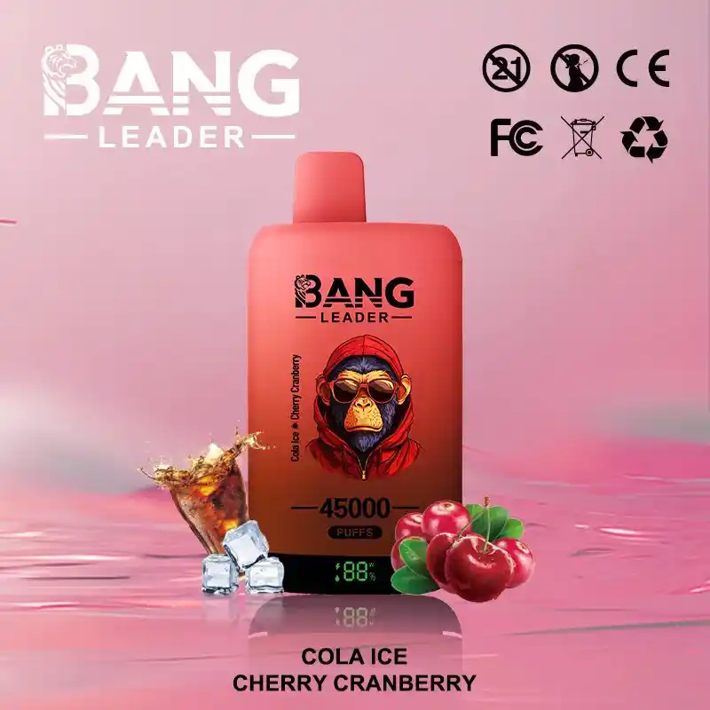 Bang Leader 45K 45000 Züge Einweg Vape mit Dual Mesh & Display – Bild 4