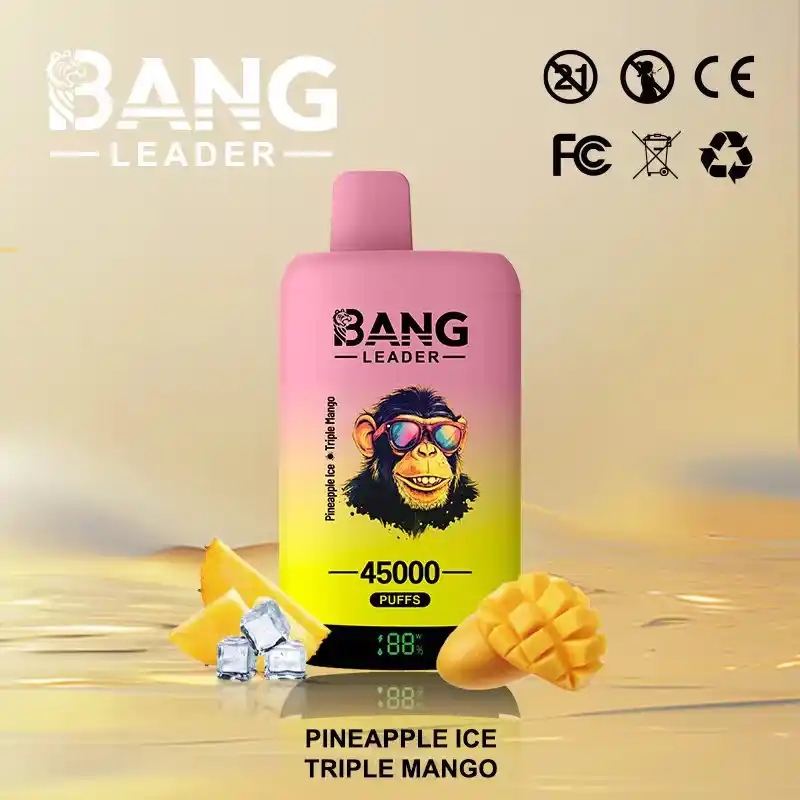 Bang Leader 45K 45000 Züge Einweg Vape mit Dual Mesh & Display – Bild 13