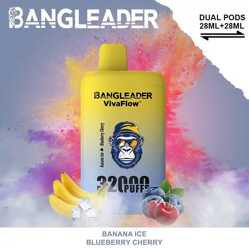 Bang Leader 32000 Züge XXL Vape mit Dual-Pod & Geschmackswechsel – Bild 6