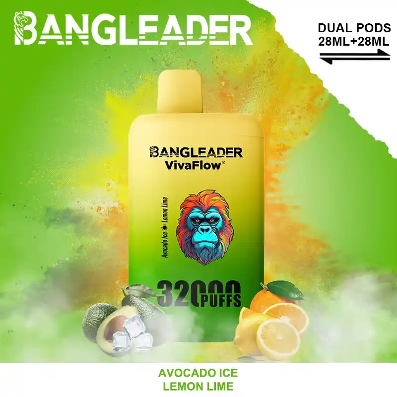 Bang Leader 32000 Züge XXL Vape mit Dual-Pod & Geschmackswechsel – Bild 5
