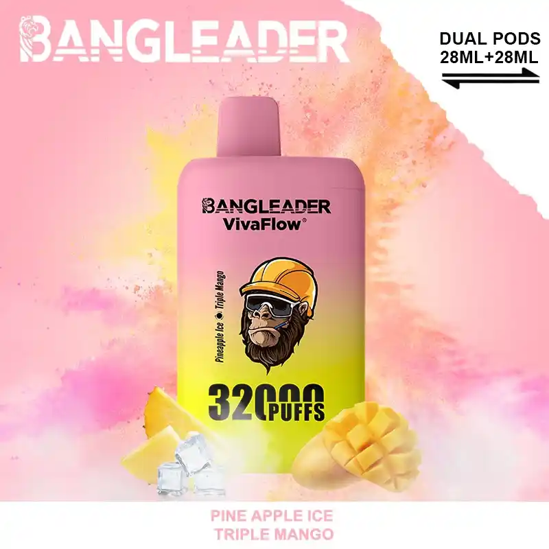 Bang Leader 32000 Züge XXL Vape mit Dual-Pod & Geschmackswechsel – Bild 4