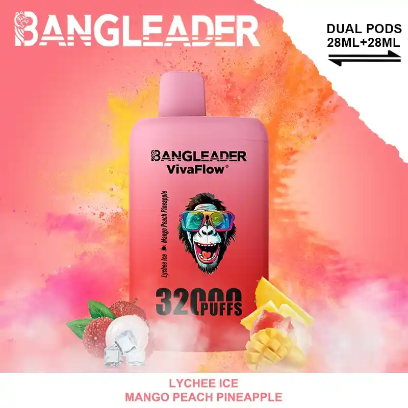 Bang Leader 32000 Züge XXL Vape mit Dual-Pod & Geschmackswechsel – Bild 3