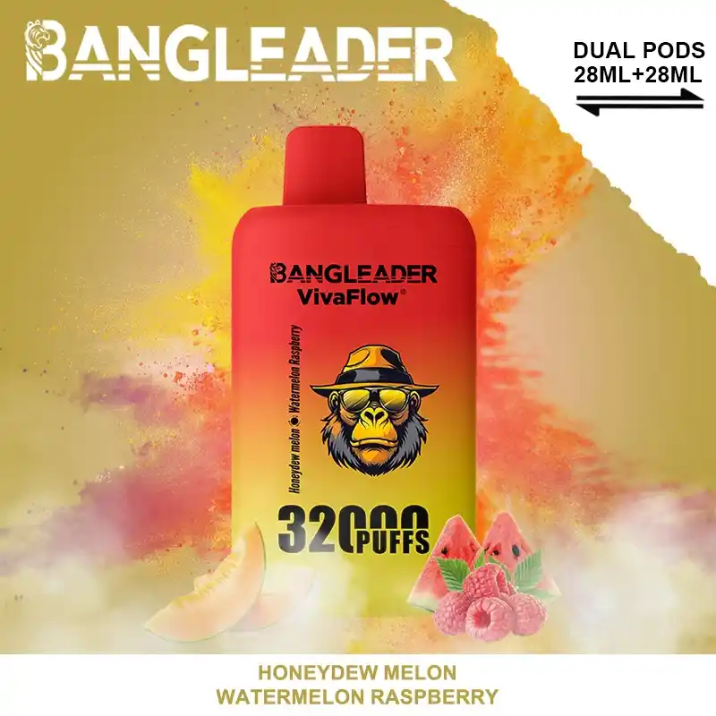 Bang Leader 32000 Züge XXL Vape mit Dual-Pod & Geschmackswechsel – Bild 2