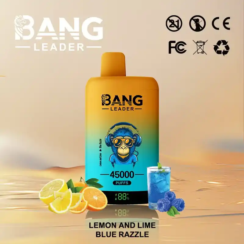 Bang Leader 45K 45000 Züge Einweg Vape mit Dual Mesh & Display – Bild 12