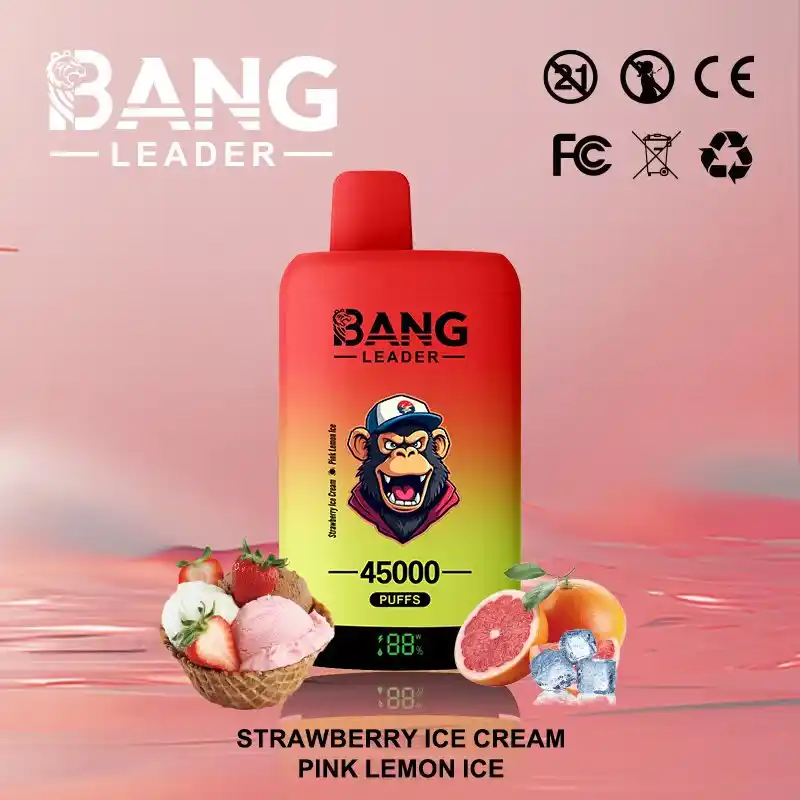 Bang Leader 45K 45000 Züge Einweg Vape mit Dual Mesh & Display – Bild 11