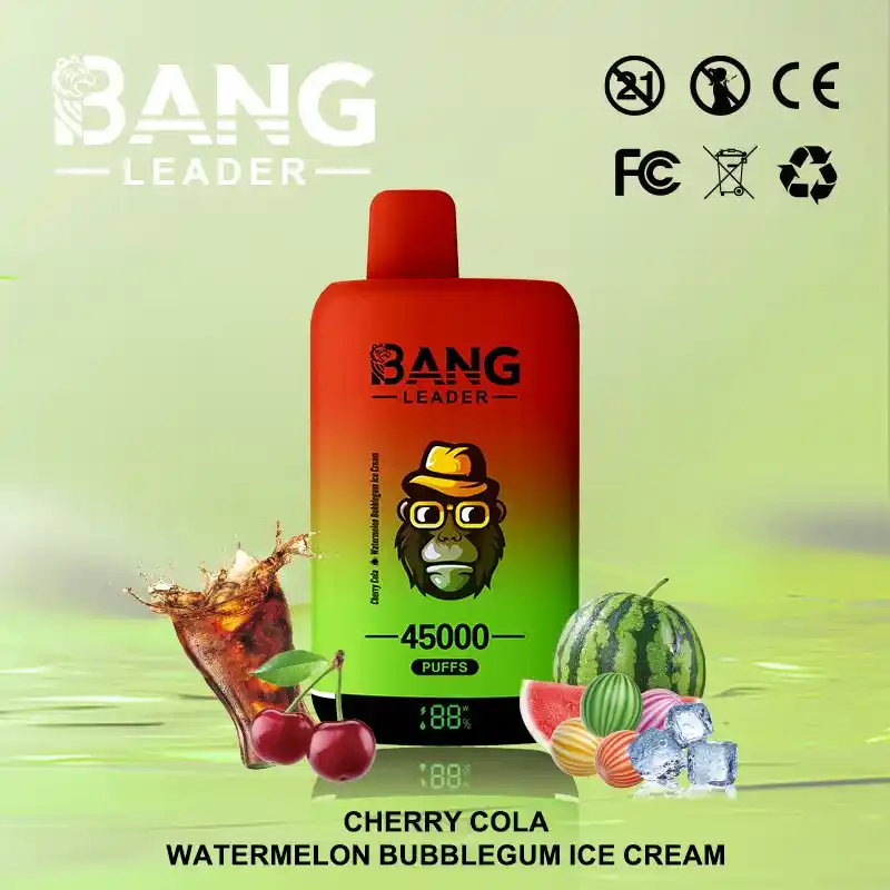 Bang Leader 45K 45000 Züge Einweg Vape mit Dual Mesh & Display – Bild 10