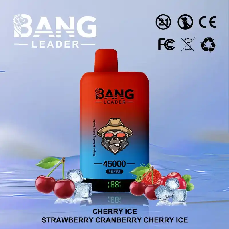 Bang Leader 45K 45000 Züge Einweg Vape mit Dual Mesh & Display – Bild 3