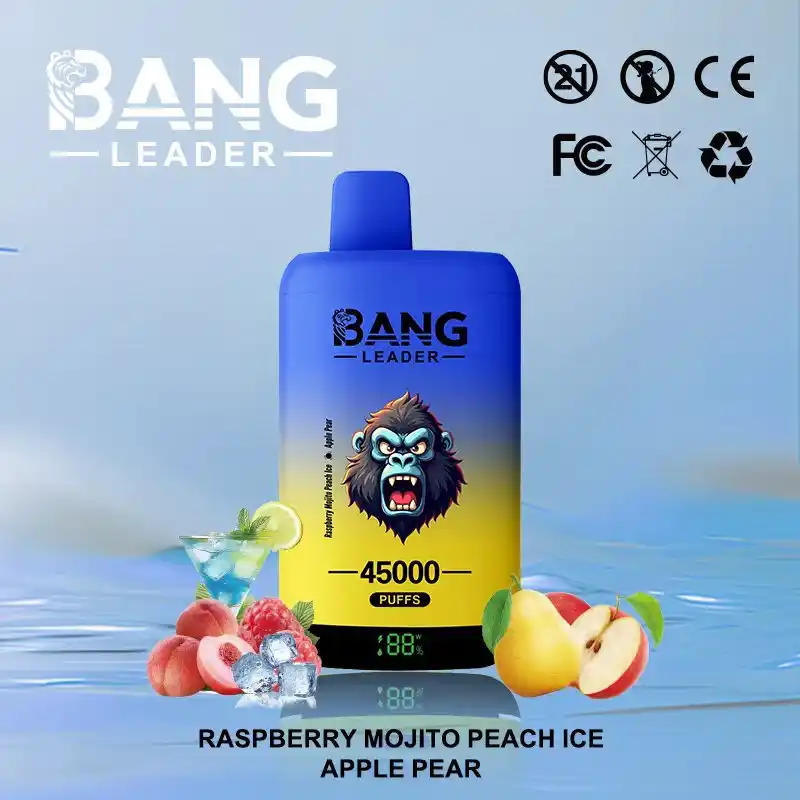 Bang Leader 45K 45000 Züge Einweg Vape mit Dual Mesh & Display – Bild 2