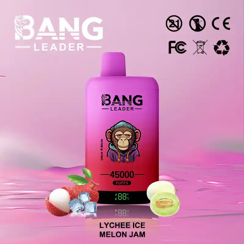Bang Leader 45K 45000 Züge Einweg Vape mit Dual Mesh & Display – Bild 9